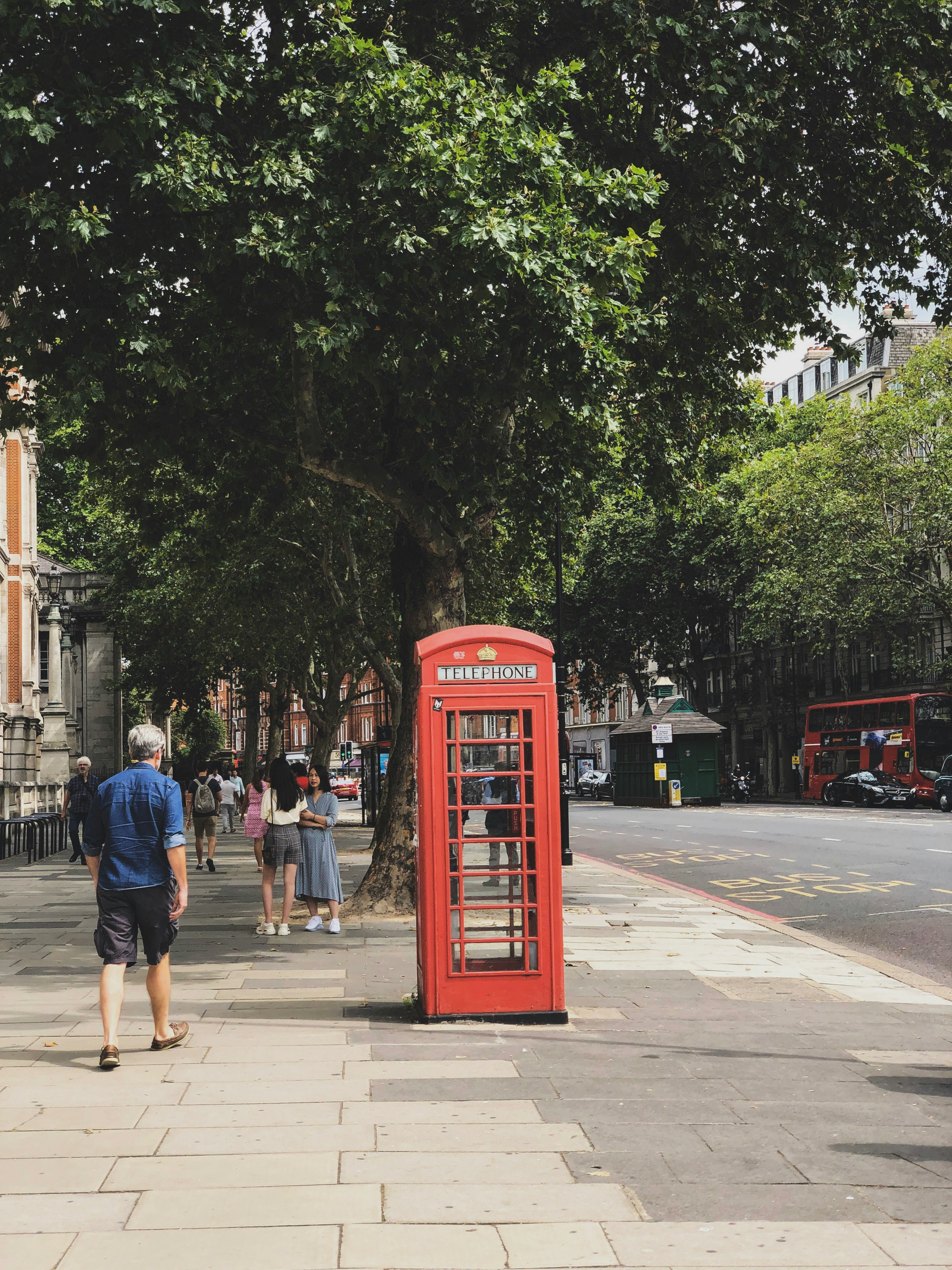 red telephone booth near green trees during daytime